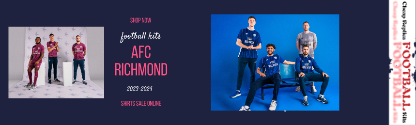 fake Cardiff City kit 2023-2024